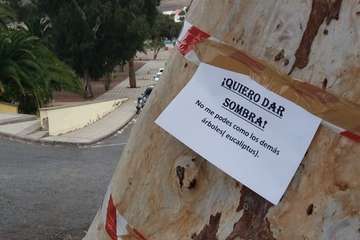 Foto TA